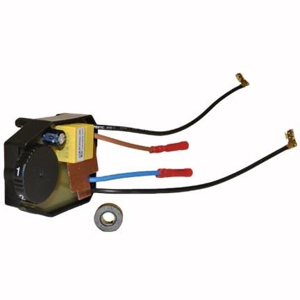 Electronic module